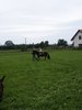 PICT0271.JPG