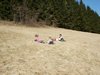 PICT0050.JPG